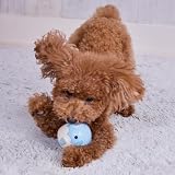 ペティオ (Petio) 犬用おもちゃ やわらかTOY べビたん ぞう