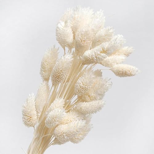 Ramo de Flores Secas Artificiales 50 Pzas Blanco miniatura 2