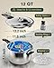 WantJoin Pressure Cooker, 12 Quart Stainless Steel Pressure Canner, Induction Compatible Cookware with Spring Valve Safeguard Devices,Compatible with Gas & Induction Cooker