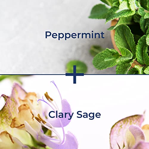 Kiss My Face De-Stress 2-In-1 Body Wash & Bath Soak - Peppermint + Clary Sage - Botanical Blend - Vegan And Cruelty Free - With Added Rhodiola Rosea, Hemp Seed Oil, And Ashwagandha - 16 Fl Oz Bottle #TOP2