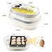 Magicfly Mini Egg Incubators for Hatching Eggs, with Automatic Egg Turning, 9-12 Eggs Hatching Incubator for Chickens, Ducks, Goose, Birds