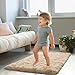 HOMORE Small Rugs for Bedroom 2x3 Feet Beige Rug for Bedroom Bedside Soft Fluffy Area Rugs for Desk Indoor Entrance Door Mat, Small Runner Rugs and Carpets for Dorm Nursery, Light Tan