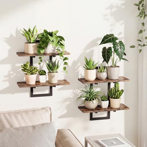 Bamworld Floating Shelves for Wall Planters Indoor Wall Decor, 2 ...