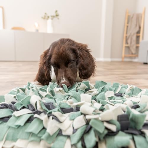 Image of Trixie Snuffle Mat for Dogs, Level 1 Interactive Dog Toys, Slow Feeder Puzzle, Foraging Training