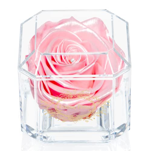 Una Rosa Dura años - pétalos eternos, Hecha a Mano en Reino Unido - Oro Blanco Solo (satén Rosa) Cover