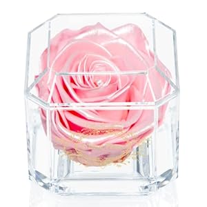 Una rosa reale al 100% che dura anni – Petali eterni, fatti a mano nel Regno Unito – Solo oro con cristallo Swarovski trasparente (raso rosa)