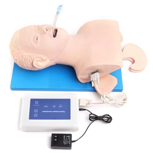 Modello di intubazione per adulti con controller laringoscopico Allenamento di emergenza Gestione delle vie aeree orofaringee Modello anatomico con allarme pressione dei denti Modello di allenamento