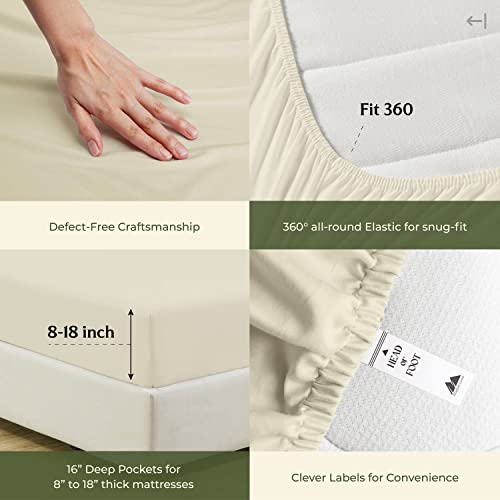Mayfair Linen Luxury Egyptian Cotton King Size Sheets - 600 Thread Count, 4 PC Set, 16 Deep Pocket, Soft Sateen Weave, Sand Color