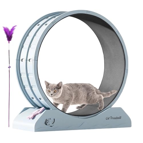 Roue de chat contre l'ennui : tapis roulant de chaton de sécurité pour stopper la sédentarité - 2