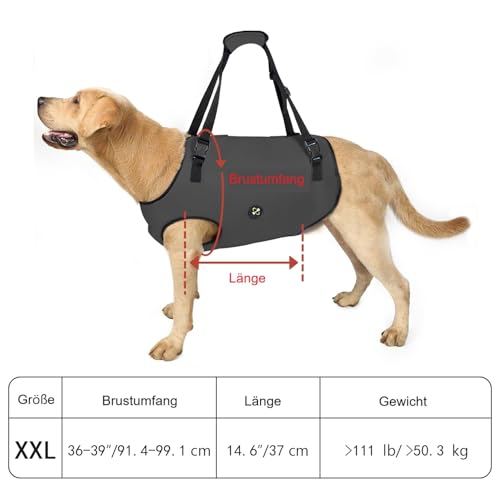 Coodeo Hundeliftgeschirr, Haustierunterstützung & Rehabilitation Sling Lift Verstellbare Gepolsterte atmungsaktive Gurte für Alt, Gelenkverletzungen, Arthritis, Stabilitätsverlust Hunde(Schwarz, 2XL)