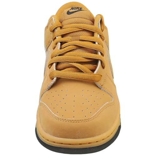Image of Dunk Low Retro SE
