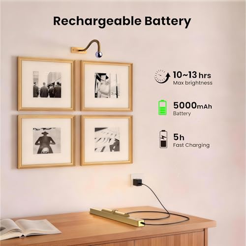 Picture Light Battery Rechargeable, 3Pack Picture Light for Wall with Remote, 3 Color Modes and Dimmable Classic Art Lights for Paintings, Pictures in Gallery, Bedroom, with Timer_Antique Gold
