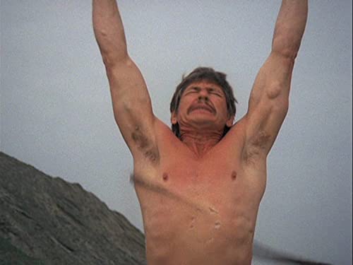 Wilde Pferde (Charles Bronson) (Mediabook B, 2 Blu-rays+DVD) (exkl. Amazon)