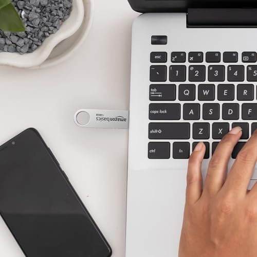 Image of Amazon Basics 128 GB Flash Drive | USB 2.0 M Series | Temperature, Shock and Vibration Resistant | Metallic Silver