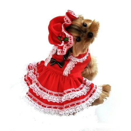 Miss Saa Baby Dog Cosume - Medium