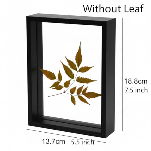 Image of Desi Rang Wooden Frame for Wall Decor Table top Hanging Any Green or dry plant Leaf Picture Photo DIY Gift Home decoration (Black,Rec,7.7x5.5 inch,without Leaf)