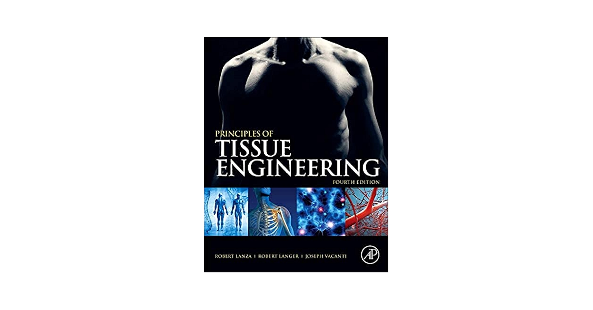 健康・医学 Principles of Tissue Engineering 3rd Ed PDF Principles of Tissue Engineering 3rd Edition Robert