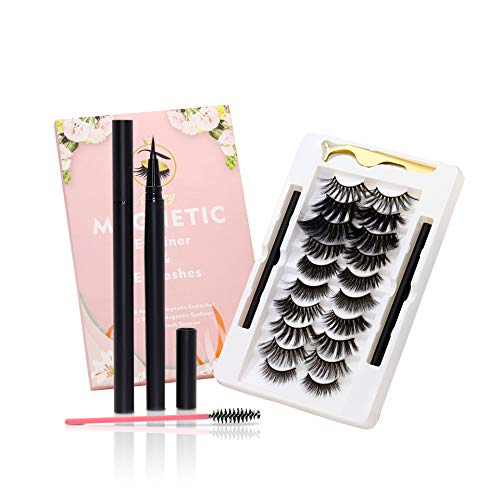 Aimery lashes with eyeliner for natural false Eyelashes set, eyelashes with eyeliner kit natural looking, Fake eyelashes upgrade Softer 10pairs No magnet & 2tube liquid Eyeliner