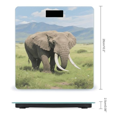 Balanza digital de baño con plataforma de vidrio templado miniatura 2