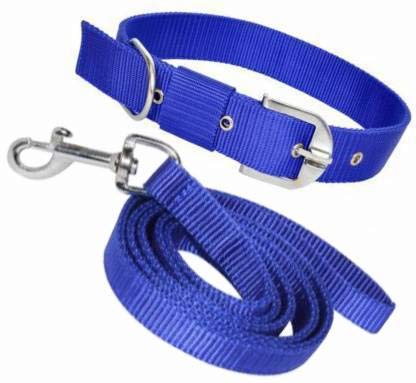 SENAPATI Dog Neck Collar Belts and Leash Set (Blue Color, Waterproof, Medium, Leash Size 1.5M-2M)