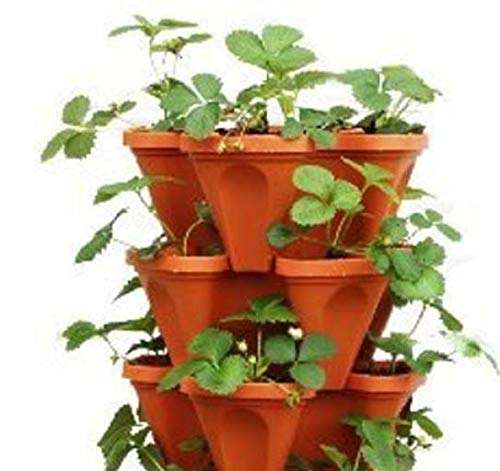 Bio Blooms Self Watering Tower Garden Pots (4 Sides) - Pack Of 3 Pcs Brown Color, UV Treated Planters (Only Pots And Inserts) Bio_32B
