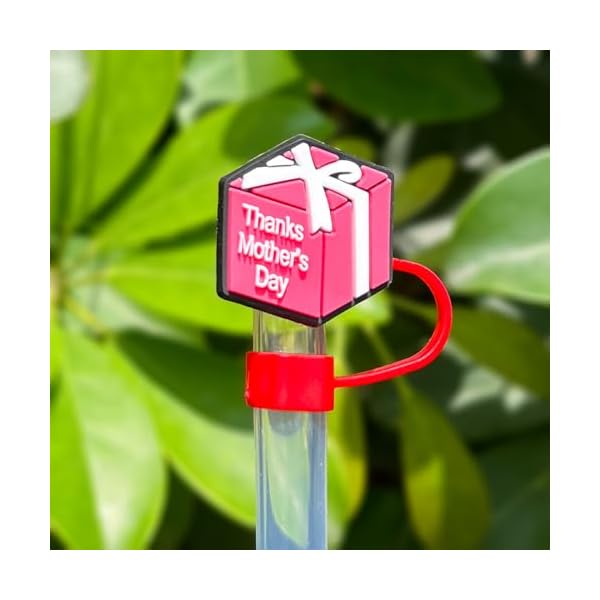 Stanley Straw Cover, 6 Pcs Mothers Day Straw Cover Cap for Stanley cup,10mm Silicone Red Pink Stanley Straw Topper, Mom stanley straw topper Mom Straw Cover for 30 40oz Stanley Cup Accessories - Image 5