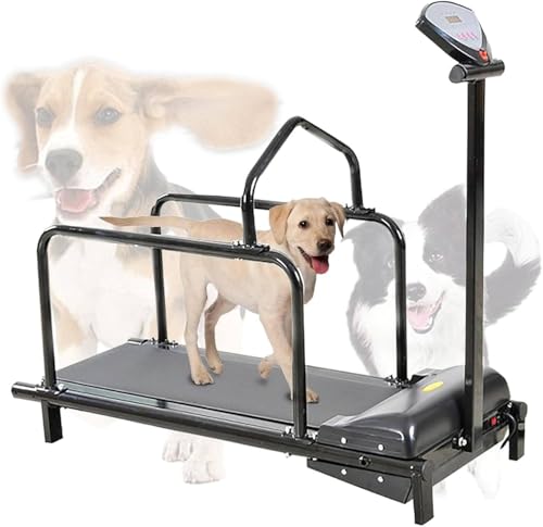 Xdlywuziq Hunde-Laufband Modell 7809 Agility