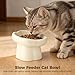 Cat Food Bowl with Slow Feeder Function, Ceramic, Flower Design, Elevated, Non-Slip, 6.8 Oz Capacity, Anti-Vomiting