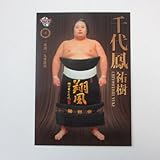 BBM2015大相撲カード「粋」【レギュラーカード】No.33前頭/千代鳳祐樹