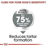 ROYAL CANIN Maxi Dental Care - 9 kg