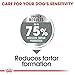 ROYAL CANIN Maxi Dental Care - 9 kg