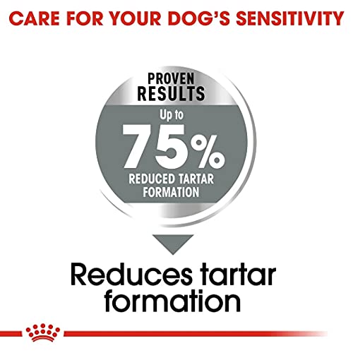 ROYAL CANIN Maxi Dental Care - 9 kg