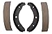Raybestos 269PG Professional Grade Drum Brake Shoe Set