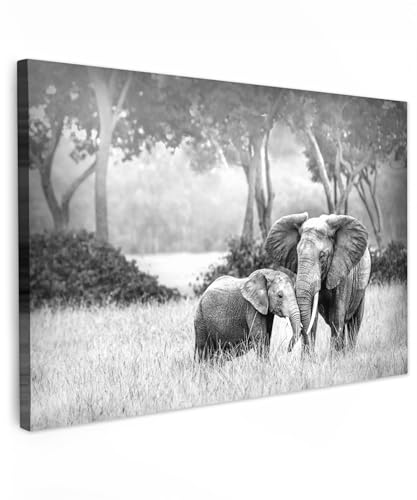 MuchoWow© Impression sur Toile Decoration Murale Peinture 120x80 cm Tableaux Decoratifs Muraux Déco Chambre Tableau Salon Elephant - Animaux - Noir et blanc
