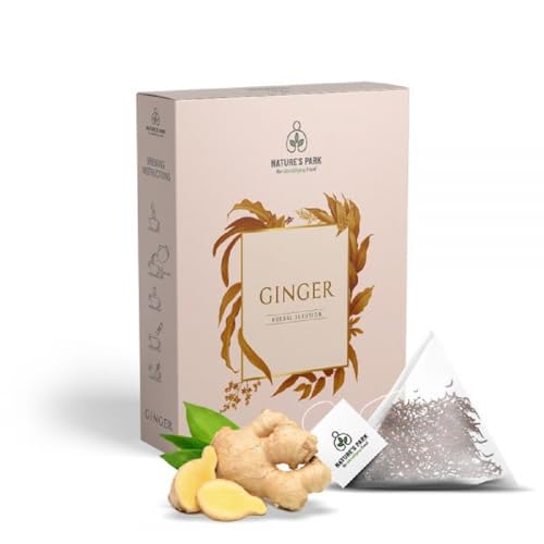 Image of Ginger Herbal Infusion Pyramid Infusion TeaBags-5