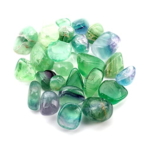 Cherry Tree Collection 1/2 Pound Tumbled Polished Stones | 1/2" - 1" Size Nuggets | Crystals For Decoration, Healing, Reiki, Chakra (Green Fluorite) #TOP20
