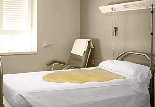 Natural Sheepskin for Bed Sores and Skin Irritation | Tauranga 100% Real Medical Sheepskins with Non-Slip Back for Pain Relief and Discomfort, Wool Seat Pad, Natural, 26 in. x 46 in.