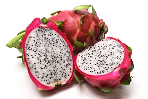 Pitaya weiß frisch 1 Stück weißfleischige Drachenfrucht mit essbaren Kernen mild-süß für Bowls Smoothies Dessert Obstsalat & Fruchtplatten