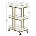 BarberPub Salon Trolley Multi-Functional Salon Cart with 3 Layers Shelves Rolling Cart Manicure Beauty Equipment 2061 (White)