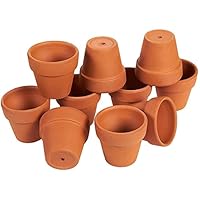 Algopix Similar Product 15 - Juvale 10 Pack 25 inch Mini Terra