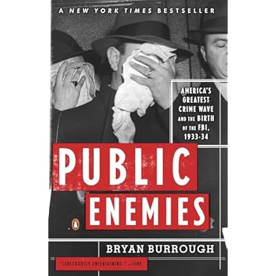 Public Enemies