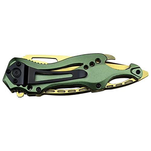View 5