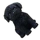 Esecuzione squisita- Generazione fine del lavoro, immagine vivida, materiali ecocompatibili, colori brillanti, durevoli, resistenti e non sbiaditi, e mantenere ciò renderà un appassionato di animali da regalo perfetto o qualsiasi amante del prato o giardiniere, è anche fantastico in qualsiasi soggiorno