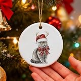 JINYO British Shorthair Cat Christmas Ornament, Cat Mom Lady Lovers Ornaments for Christmas Tree, Funny Santa Reindeer Kitten Xmas Decorative Hanging Ceramic Ornaments