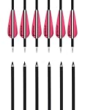 PANDARUS Archery Carbon Arrows 28-Inch Safety Beginner's Target Practice for Compound & Recuve Bow - (Pack of 12) Pink