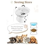 Porcelain Raised Cat Bowl, No Spill Cat Water Bowl with Anti Slip Band, Elevated Porcelain Pet Bowl Protect Pet's Spine, Large Capacity Pet Water Bowl, 15 oz, Dishwasher Safe - Image 2