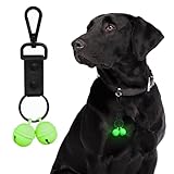 Whimsii Bells for Dog Collar, Extra Loud Dog Cat Glow Bell for Pet Tracking & Saving Wildlife, Birds, Durable Copper Bells (Large Breed)
