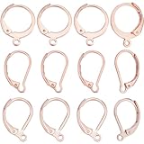 Beebeecraft 60 Pieza de 3 Estilos de Accesorios para Pendientes de Acero Inoxidable con Cierre de Palanca Chapados En Oro Rosa Ganchos Redondos Franceses para Pendientes Alambre Colgante