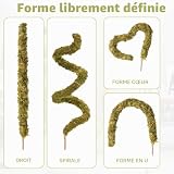 ZWWOGE branche grimpante flexible de 60 cm pour gecko léopard photo 6