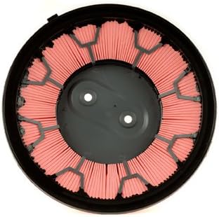 Miniatura 5 de Filtro de aire compatible con Nissan NP300 2009 2010 2011 2012 2013 2014 2015 PC-301055